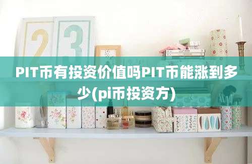 PIT币有投资价值吗PIT币能涨到多少(pi币投资方)