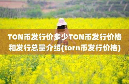 TON币发行价多少TON币发行价格和发行总量介绍(torn币发行价格)