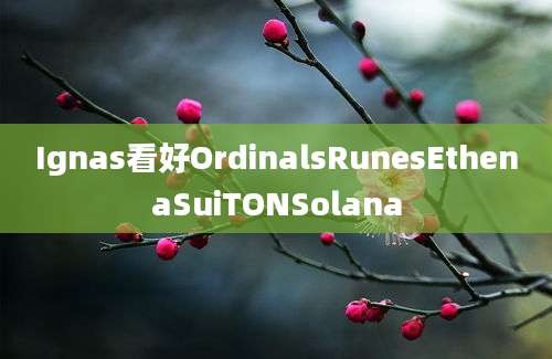 Ignas看好OrdinalsRunesEthenaSuiTONSolana