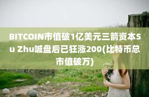 BITCOIN市值破1亿美元三箭资本Su Zhu喊盘后已狂涨200(比特币总市值破万)