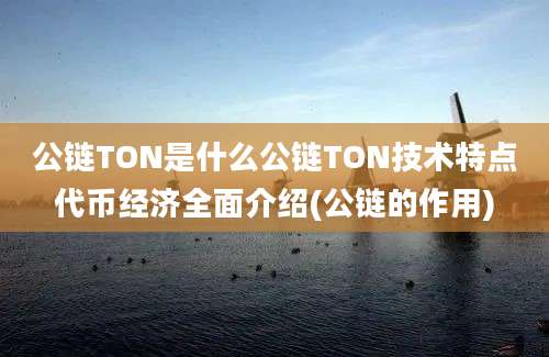 公链TON是什么公链TON技术特点代币经济全面介绍(公链的作用)