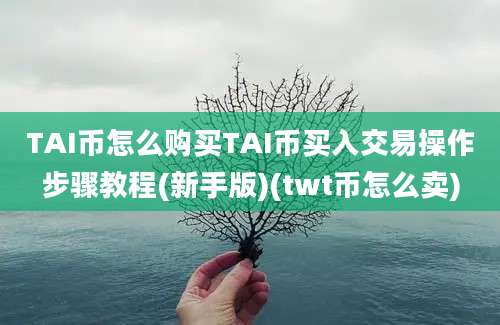 TAI币怎么购买TAI币买入交易操作步骤教程(新手版)(twt币怎么卖)