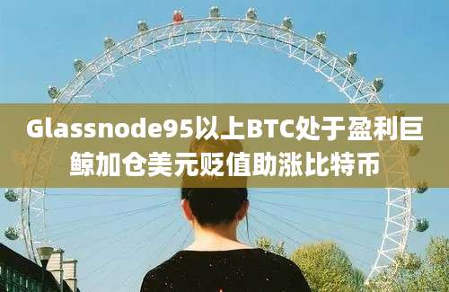 Glassnode95以上BTC处于盈利巨鲸加仓美元贬值助涨比特币