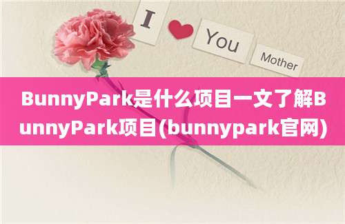 BunnyPark是什么项目一文了解BunnyPark项目(bunnypark官网)