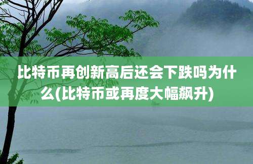 比特币再创新高后还会下跌吗为什么(比特币或再度大幅飙升)