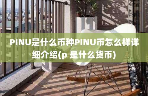 PINU是什么币种PINU币怎么样详细介绍(p 是什么货币)