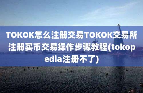 TOKOK怎么注册交易TOKOK交易所注册买币交易操作步骤教程(tokopedia注册不了)