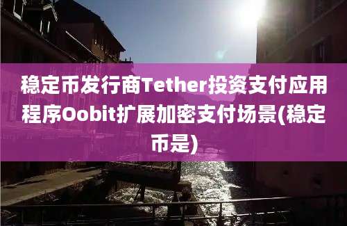 稳定币发行商Tether投资支付应用程序Oobit扩展加密支付场景(稳定币是)