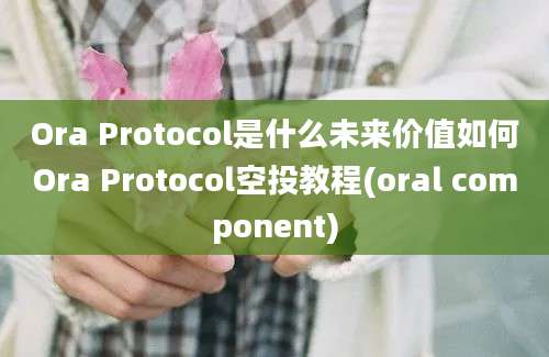 Ora Protocol是什么未来价值如何Ora Protocol空投教程(oral component)