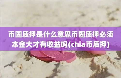 币圈质押是什么意思币圈质押必须本金大才有收益吗(chia币质押)