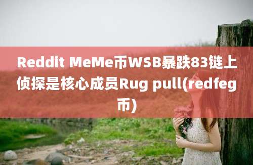 Reddit MeMe币WSB暴跌83链上侦探是核心成员Rug pull(redfeg币)