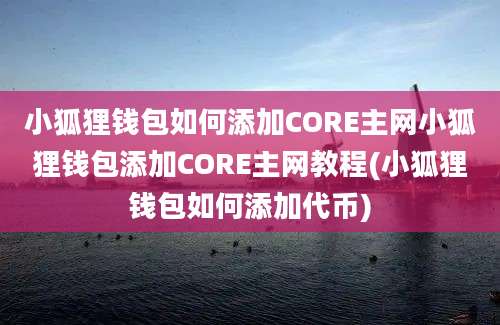 小狐狸钱包如何添加CORE主网小狐狸钱包添加CORE主网教程(小狐狸钱包如何添加代币)