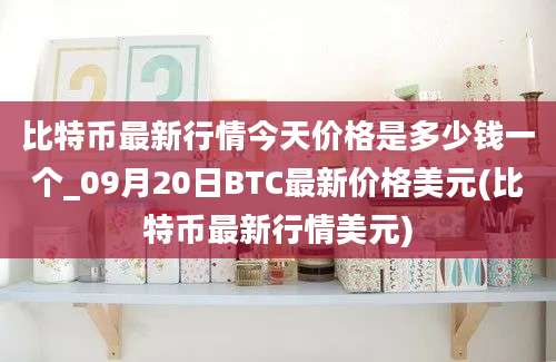 比特币最新行情今天价格是多少钱一个_09月20日BTC最新价格美元(比特币最新行情美元)