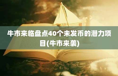 牛市来临盘点40个未发币的潜力项目(牛市来袭)