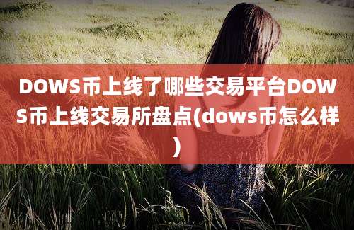 DOWS币上线了哪些交易平台DOWS币上线交易所盘点(dows币怎么样)