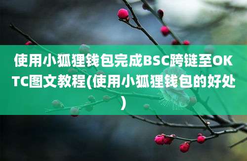 使用小狐狸钱包完成BSC跨链至OKTC图文教程(使用小狐狸钱包的好处)