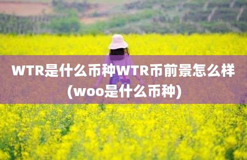 WTR是什么币种WTR币前景怎么样(woo是什么币种)