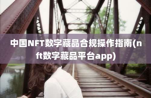 中国NFT数字藏品合规操作指南(nft数字藏品平台app)