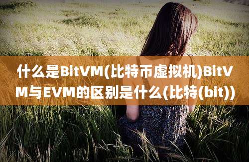 什么是BitVM(比特币虚拟机)BitVM与EVM的区别是什么(比特(bit))