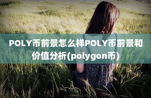 POLY币前景怎么样POLY币前景和价值分析(polygon币)