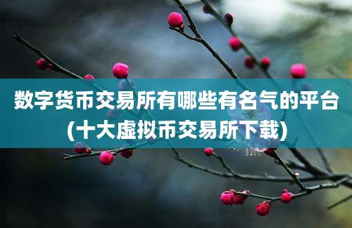 数字货币交易所有哪些有名气的平台(十大虚拟币交易所下载)