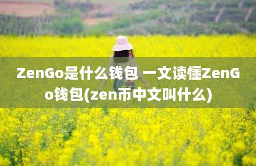 ZenGo是什么钱包 一文读懂ZenGo钱包(zen币中文叫什么)