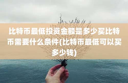 比特币最低投资金额是多少买比特币需要什么条件(比特币最低可以买多少钱)