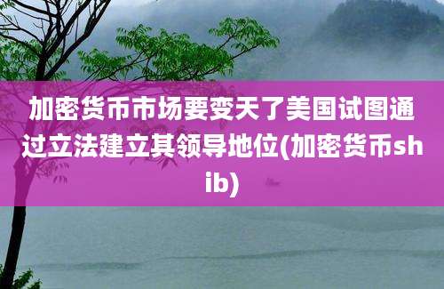 加密货币市场要变天了美国试图通过立法建立其领导地位(加密货币shib)