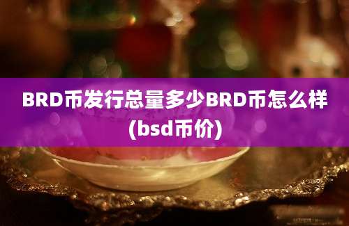 BRD币发行总量多少BRD币怎么样(bsd币价)