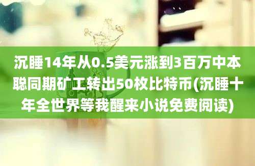 沉睡14年从0.5美元涨到3百万中本聪同期矿工转出50枚比特币(沉睡十年全世界等我醒来小说免费阅读)