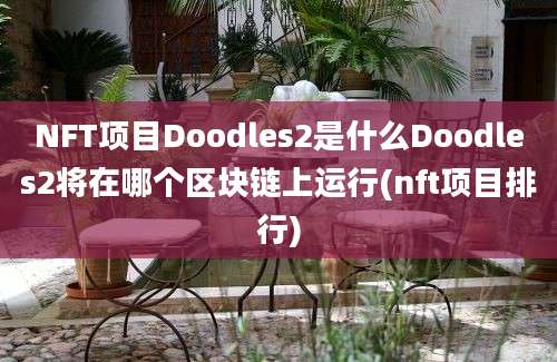 NFT项目Doodles2是什么Doodles2将在哪个区块链上运行(nft项目排行)