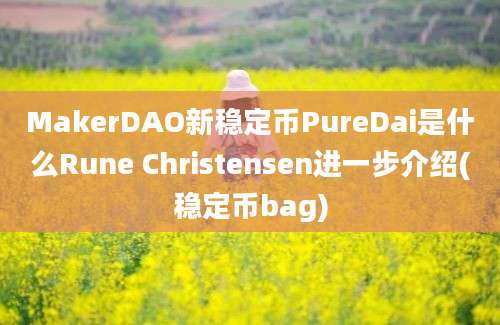 MakerDAO新稳定币PureDai是什么Rune Christensen进一步介绍(稳定币bag)