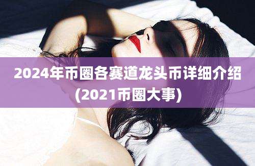 2024年币圈各赛道龙头币详细介绍(2021币圈大事)