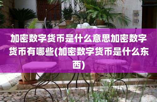 加密数字货币是什么意思加密数字货币有哪些(加密数字货币是什么东西)