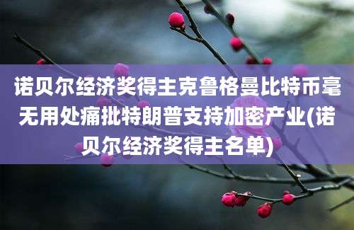 诺贝尔经济奖得主克鲁格曼比特币毫无用处痛批特朗普支持加密产业(诺贝尔经济奖得主名单)