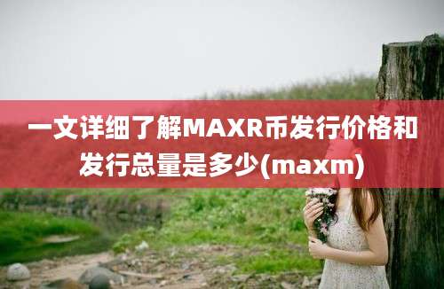 一文详细了解MAXR币发行价格和发行总量是多少(maxm)