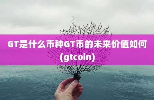 GT是什么币种GT币的未来价值如何(gtcoin)