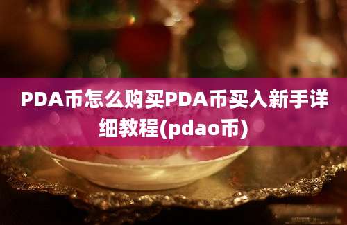 PDA币怎么购买PDA币买入新手详细教程(pdao币)