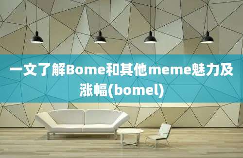 一文了解Bome和其他meme魅力及涨幅(bomel)