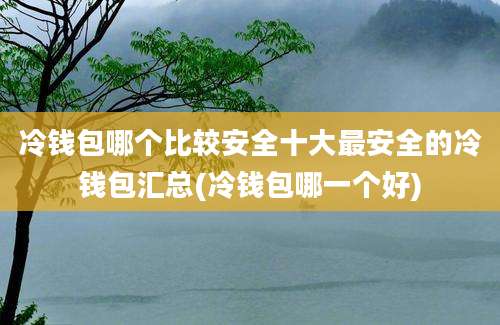 冷钱包哪个比较安全十大最安全的冷钱包汇总(冷钱包哪一个好)