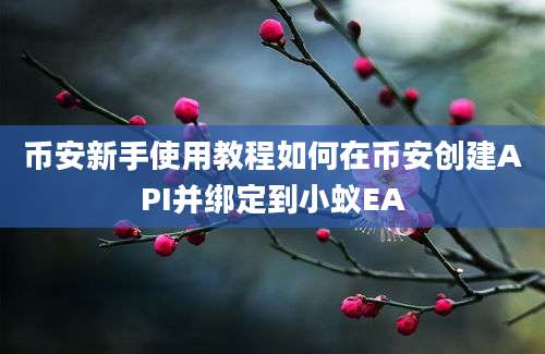 币安新手使用教程如何在币安创建API并绑定到小蚁EA