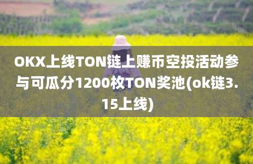 OKX上线TON链上赚币空投活动参与可瓜分1200枚TON奖池(ok链3.15上线)