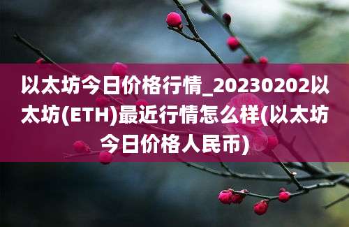 以太坊今日价格行情_20230202以太坊(ETH)最近行情怎么样(以太坊今日价格人民币)