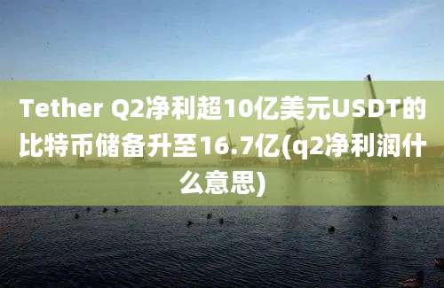 Tether Q2净利超10亿美元USDT的比特币储备升至16.7亿(q2净利润什么意思)