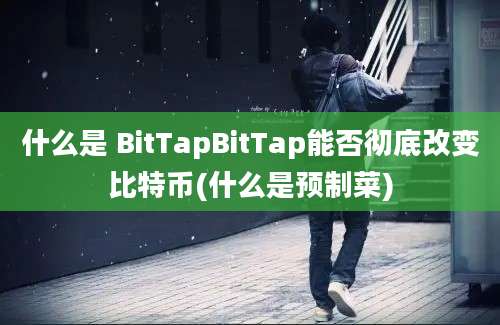 什么是 BitTapBitTap能否彻底改变比特币(什么是预制菜)