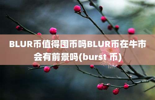 BLUR币值得囤币吗BLUR币在牛市会有前景吗(burst 币)