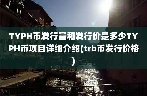 TYPH币发行量和发行价是多少TYPH币项目详细介绍(trb币发行价格)