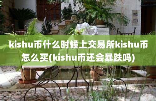 kishu币什么时候上交易所kishu币怎么买(kishu币还会暴跌吗)