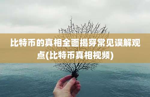 比特币的真相全面揭穿常见误解观点(比特币真相视频)