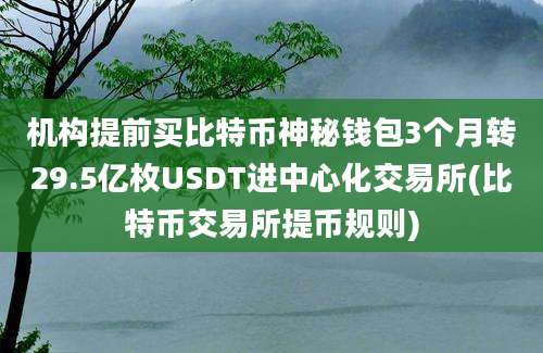 机构提前买比特币神秘钱包3个月转29.5亿枚USDT进中心化交易所(比特币交易所提币规则)